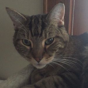 Meet your Posher, Mary